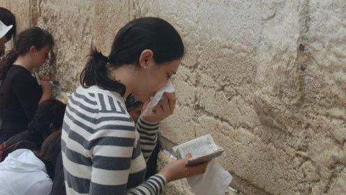 娱乐圈吃瓜君被告,揭秘网络舆论背后的法律风波